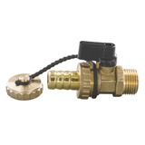 Drain valve